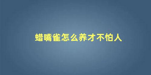 蜡嘴雀怎么养才不怕人