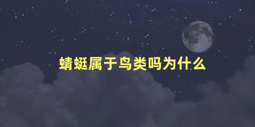 蜻蜓属于鸟类吗为什么