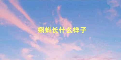 蝌蚪长什么样子