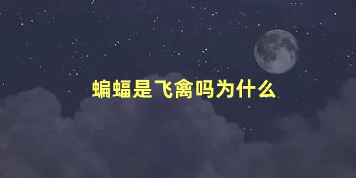 蝙蝠是飞禽吗为什么