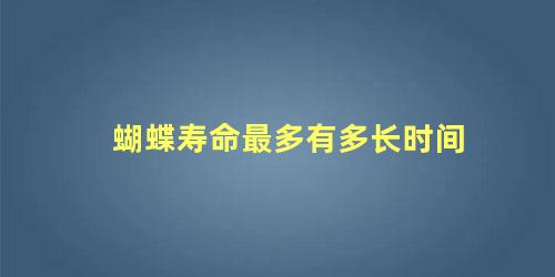 蝴蝶寿命最多有多长时间