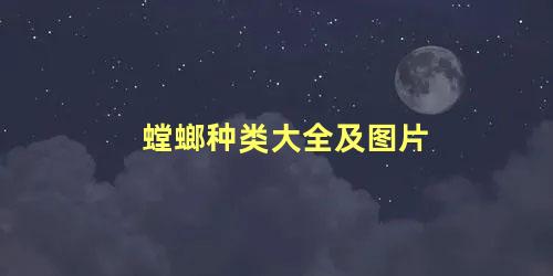 螳螂种类大全及图片