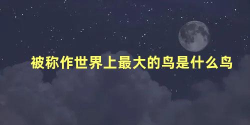 被称作世界上最大的鸟是什么鸟