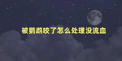 被鹦鹉咬了怎么处理没流血