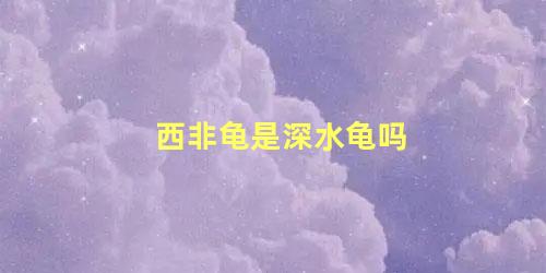 西非龟是深水龟吗