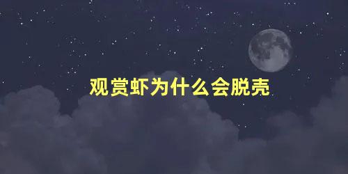 观赏虾为什么会脱壳