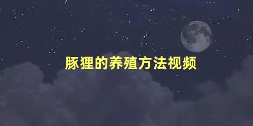 豚狸的养殖方法视频