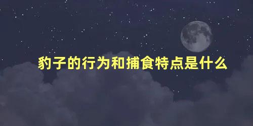 豹子的行为和捕食特点是什么