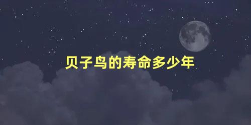 贝子鸟的寿命多少年