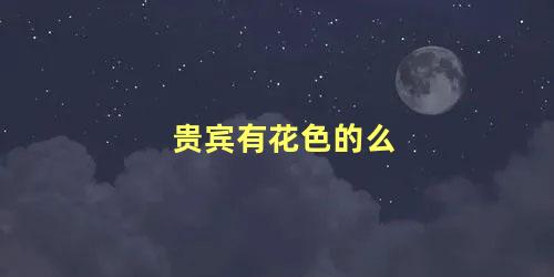 贵宾有花色的么