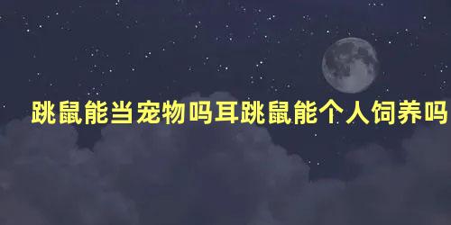 跳鼠能当宠物吗耳跳鼠能个人饲养吗