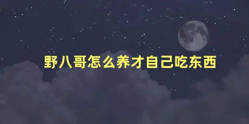 野八哥怎么养才自己吃东西