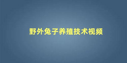 野外兔子养殖技术视频