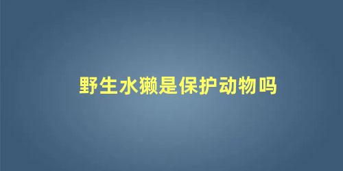 野生水獭是保护动物吗