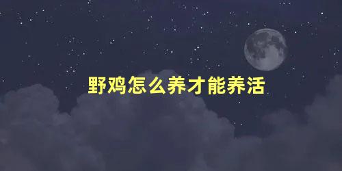 野鸡怎么养才能养活