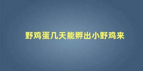 野鸡蛋几天能孵出小野鸡来