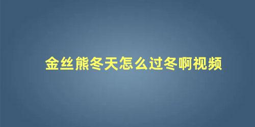 金丝熊冬天怎么过冬啊视频