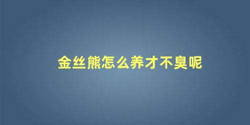 金丝熊怎么养才不臭呢