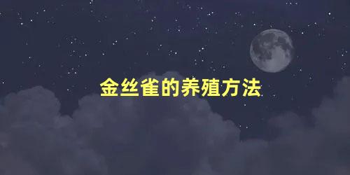 金丝雀的养殖方法