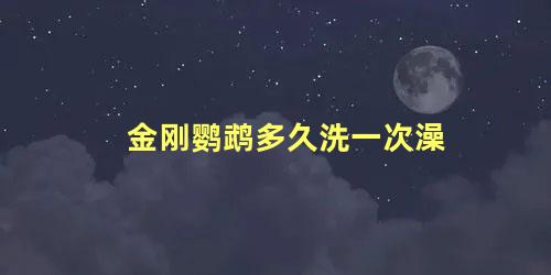 金刚鹦鹉多久洗一次澡