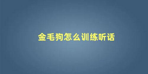 金毛狗怎么训练听话