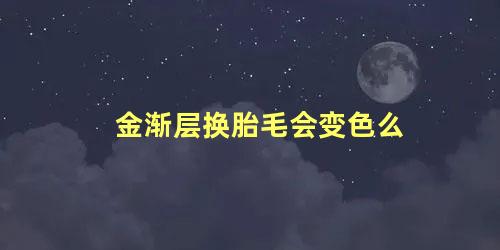 金渐层换胎毛会变色么