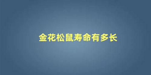 金花松鼠寿命有多长