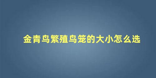 金青鸟繁殖鸟笼的大小怎么选