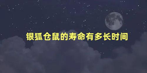 银狐仓鼠的寿命有多长时间