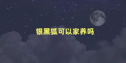 银黑狐可以家养吗