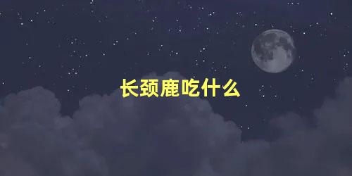 长颈鹿吃什么