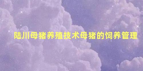 陆川母猪养殖技术母猪的饲养管理