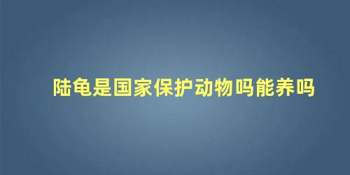 陆龟是国家保护动物吗能养吗