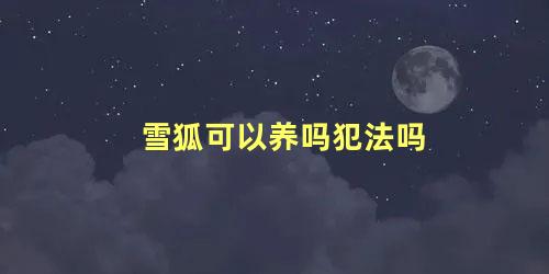 雪狐可以养吗犯法吗