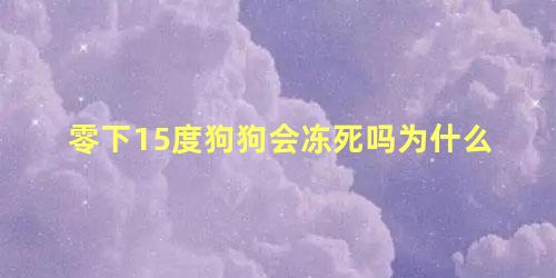 零下15度狗狗会冻死吗为什么