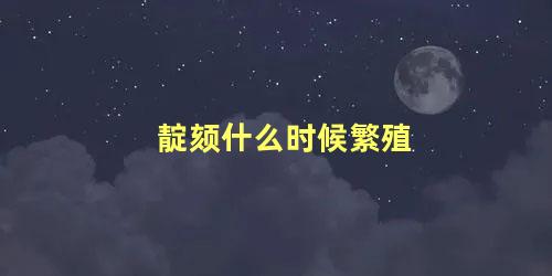 靛颏什么时候繁殖