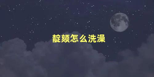 靛颏怎么洗澡