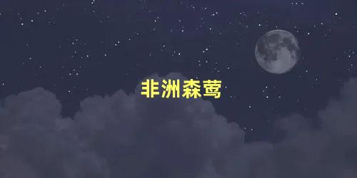 非洲森莺