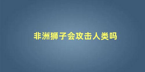 非洲狮子会攻击人类吗