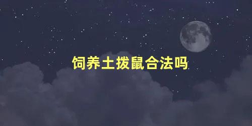 饲养土拨鼠合法吗