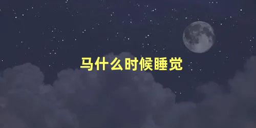 马什么时候睡觉