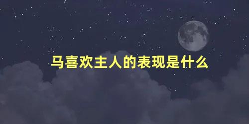 马喜欢主人的表现是什么