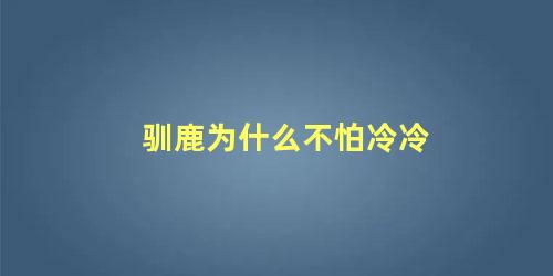 驯鹿为什么不怕冷冷