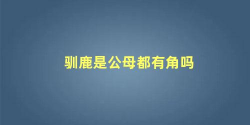 驯鹿是公母都有角吗