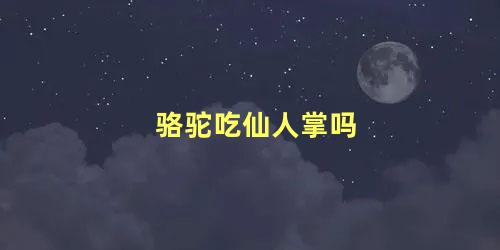 骆驼吃仙人掌吗