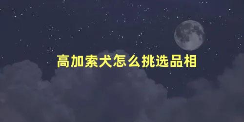 高加索犬怎么挑选品相