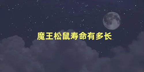 魔王松鼠寿命有多长