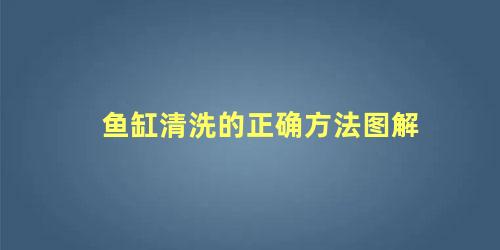 鱼缸清洗的正确方法图解