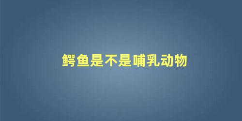 鳄鱼是不是哺乳动物