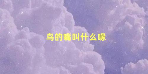 鸟的嘴叫什么喙